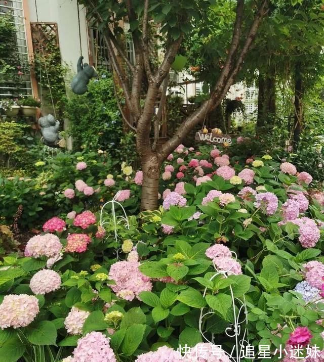 有了30平方的小院,能将日子过成了诗简单而精致,优雅而从容