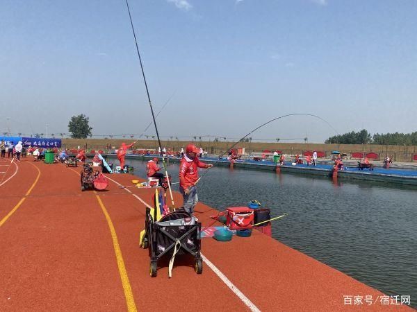 天圆地方|泗洪国际大圆塘第二届塘三彩休闲垂钓邀请赛火热开赛