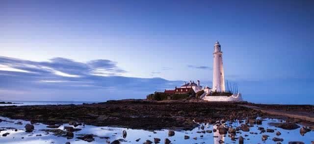 荒芜@突然就老了……(散文)