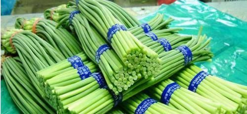  营养|冬天养生正当时，推荐几种食物，瘦身营养，清脂刮油，平小腹！