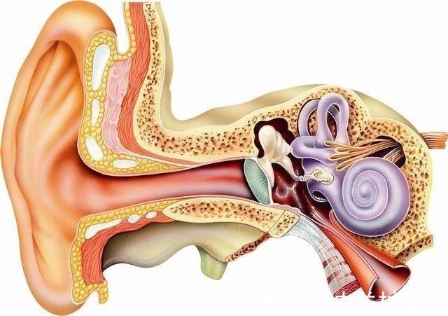 耳机|别被商家忽悠了 骨传导耳机真的能保护听力吗？