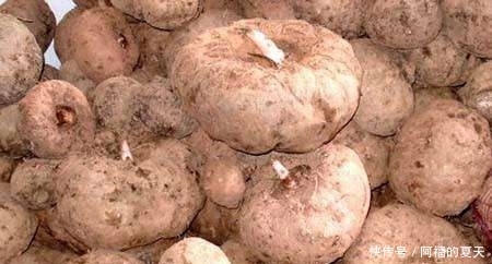 它是便秘的“克星”,每天吃点,排便又快又畅通,比药都管用