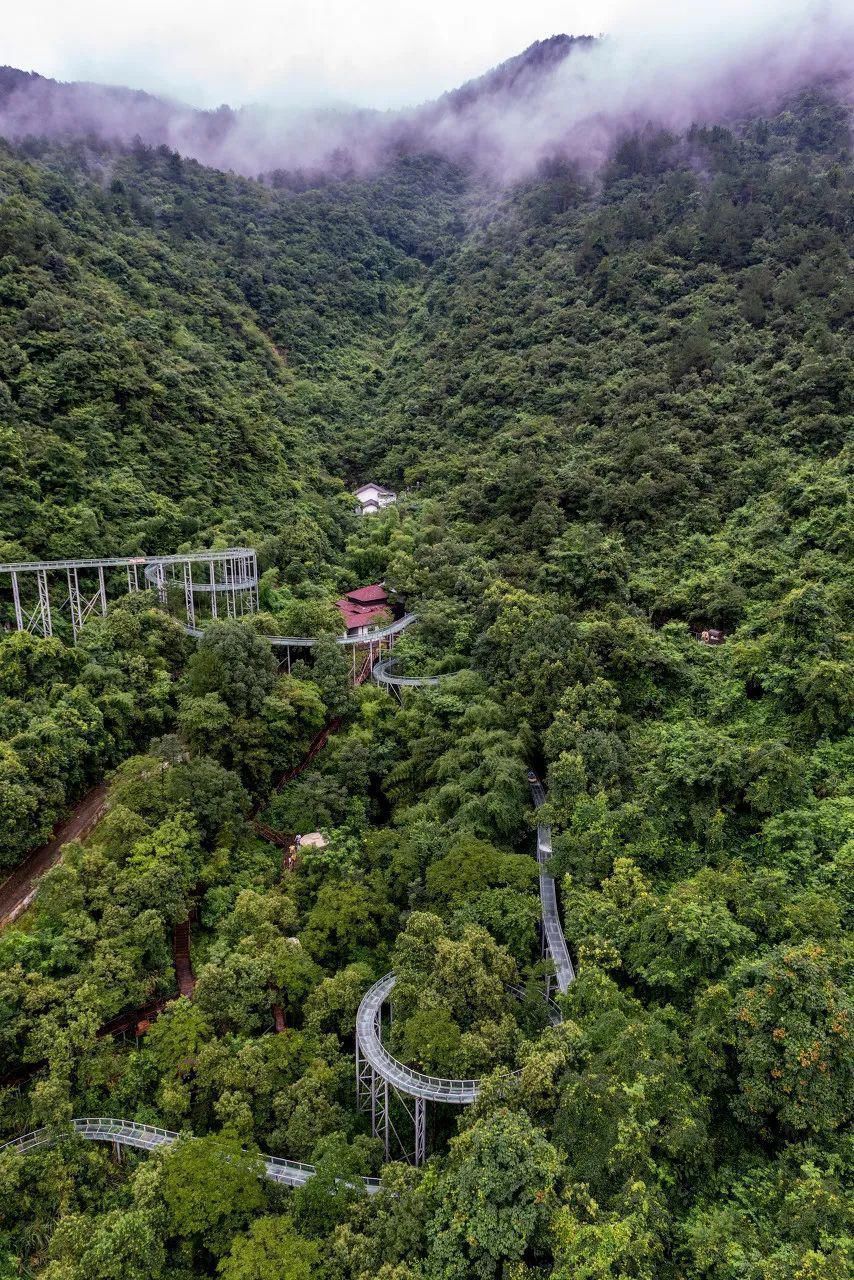 江鲜|全球最佳旅行目的地公布，中国这座唯一入选的小城，美得诗情画意