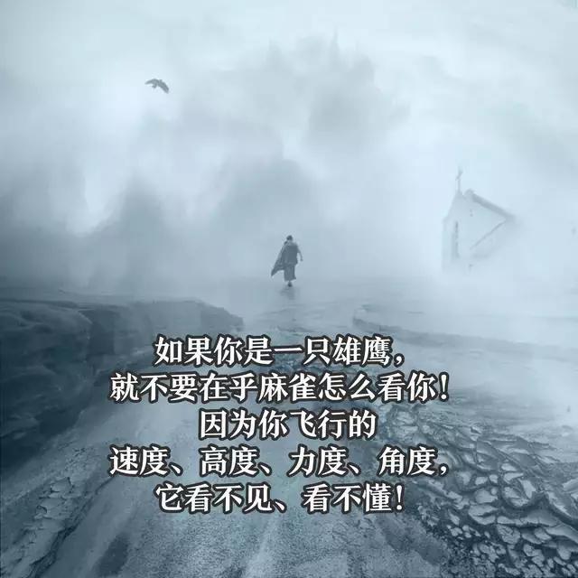 高度|欲做雄鹰, 就不要与麻雀同行, 高度不同, 何必同行!