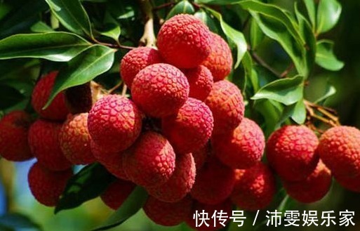 效果|肝毒“最怕”以下4种水果,经常吃一点,养肝排毒,效果显著