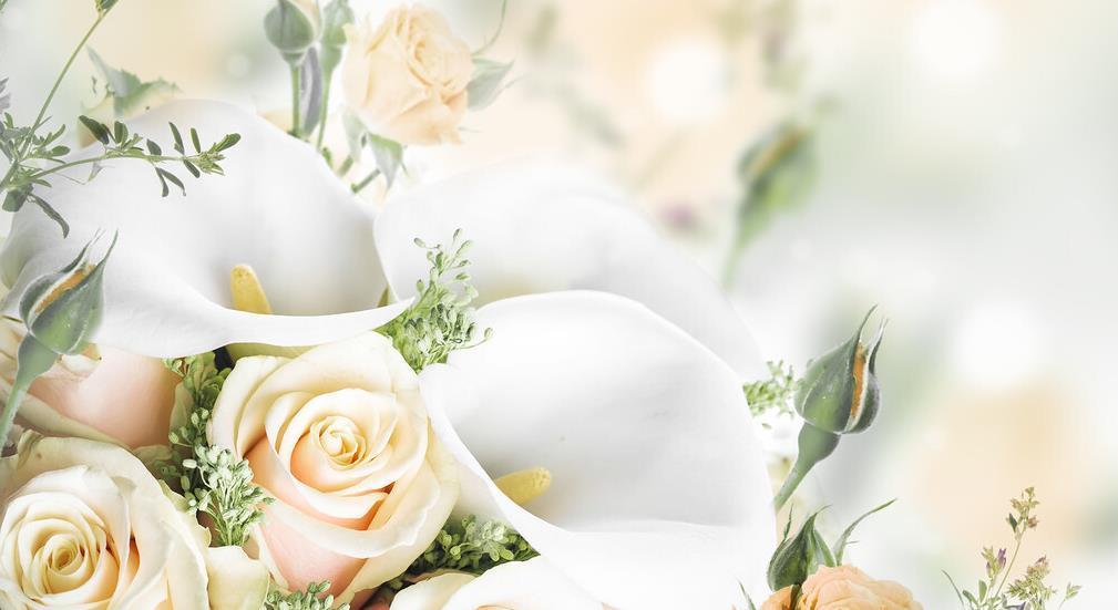 7种花喜欢水,不怕浇死了,浇得越多叶子嗖嗖长,花更漂亮