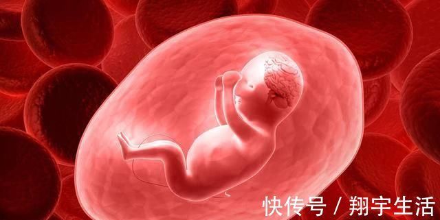 胎儿|孕期抓住胎儿大脑发育3个“高峰期”，宝宝出生后，智商只高不低