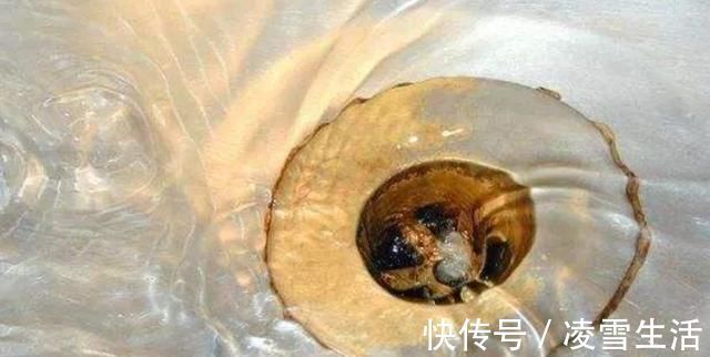 卫生间下水道里倒一碗,再臭再脏全消失,还没小飞虫,简单有效