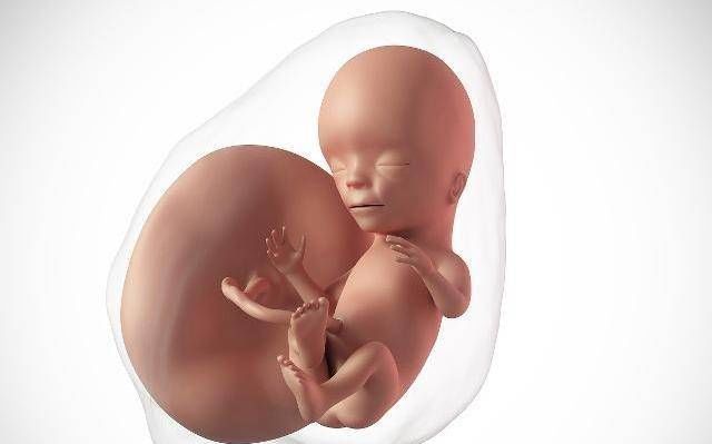 妈妈|孕中期,肚子发紧是怎么回事可能与这些情况有关,孕妈了解下