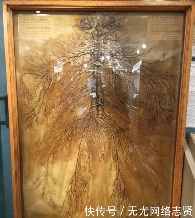 令人 22张“活久见”的照片,令人大开眼界!