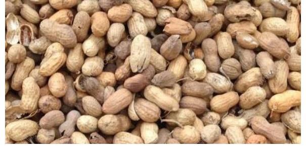 辣椒|胃癌的“祸根”找到了，4类食物比辣椒还伤胃，转告家人少吃一点