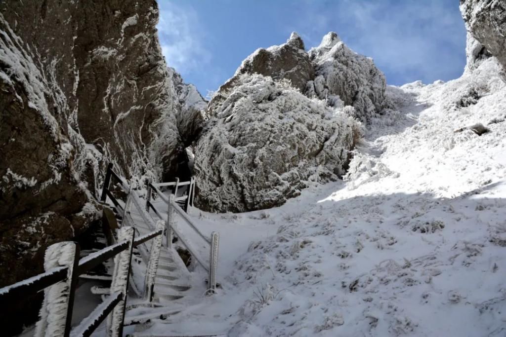 县区|初雪！周边县区雪景美图来袭！