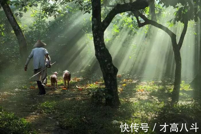 早行@10首早行诗词,总有一句,说中你的孤独时刻