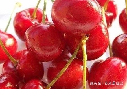 排毒|想长寿,4种食物不能少,排毒美容,呵护肌肤,预防妇科病