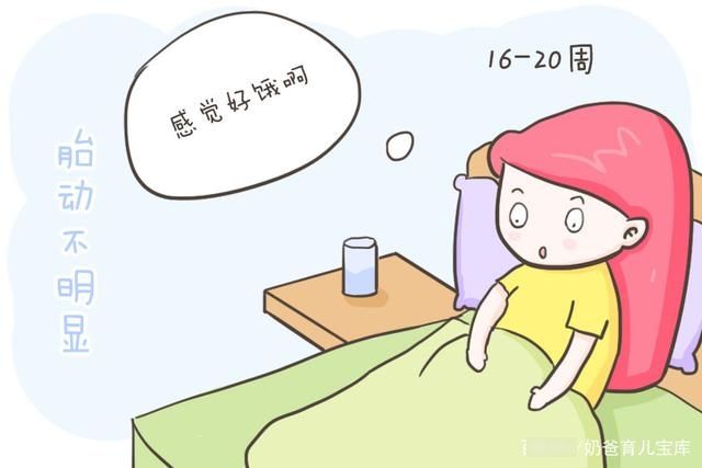 胎动喜欢右边鼓包