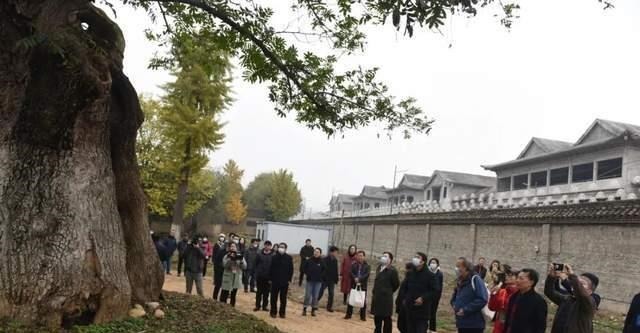 移民|丹淅流域早期文明学术调研组深入淅川考察调研