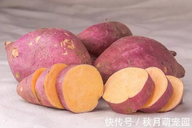 卵磷脂|世界卫生组织批准的“四大长寿食品”，每一种都很常见，人人要吃