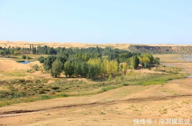 黄河水|内蒙古发生奇迹大片沙漠引入黄河水后，令人震惊的事情发生了