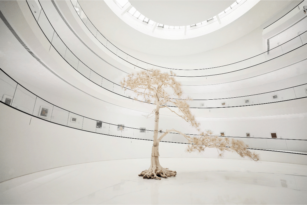 暑期|有颜值更有内涵!暑期遛娃,不妨到这里瞧瞧→