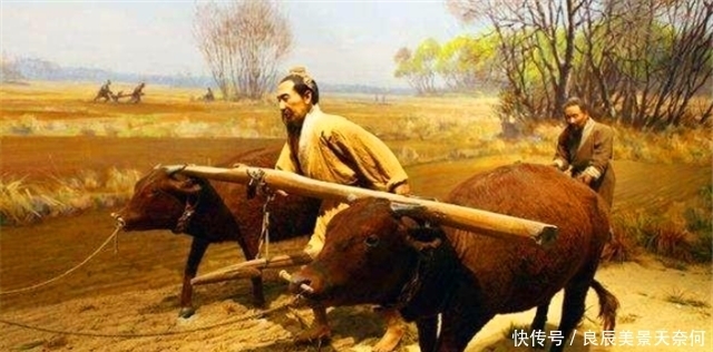时期|换个套路保护牛:谈报应,讲道理,古代禁止杀牛有妙招