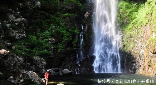 画卷|古树参天、掩天遮日、曲径幽远,一幅绚丽多彩的画卷