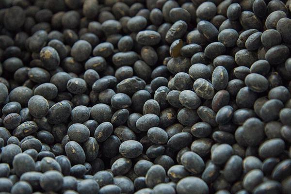 月经|女性来月经时,4种食物舍得吃,暖宫又排污,子宫会比较健康