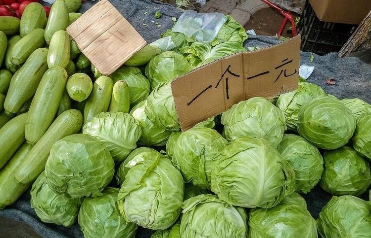 买包菜的时|买包菜,选紧实的还是松散的菜农教你4招,挑的新鲜脆嫩口感好