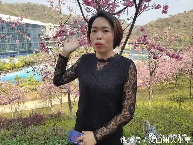不用去日本!文山这里樱花烂漫!