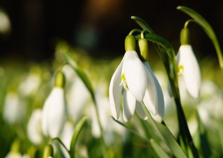 开心果|农历生日尾数是几的孩子,懂事聪慧,一辈子福运缠身