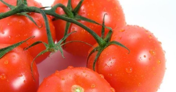 忠告西紅柿的“死對頭”,兩者同時吃,相當于慢性中毒