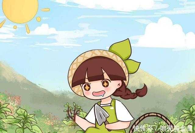 家里碰碰香没味道那是这4点没做好,不然香飘满屋!