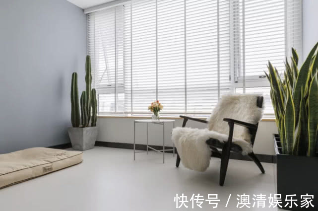 收纳|入住3年的房子还像新的一样，家有猫狗照样干净，强迫症极度舒适