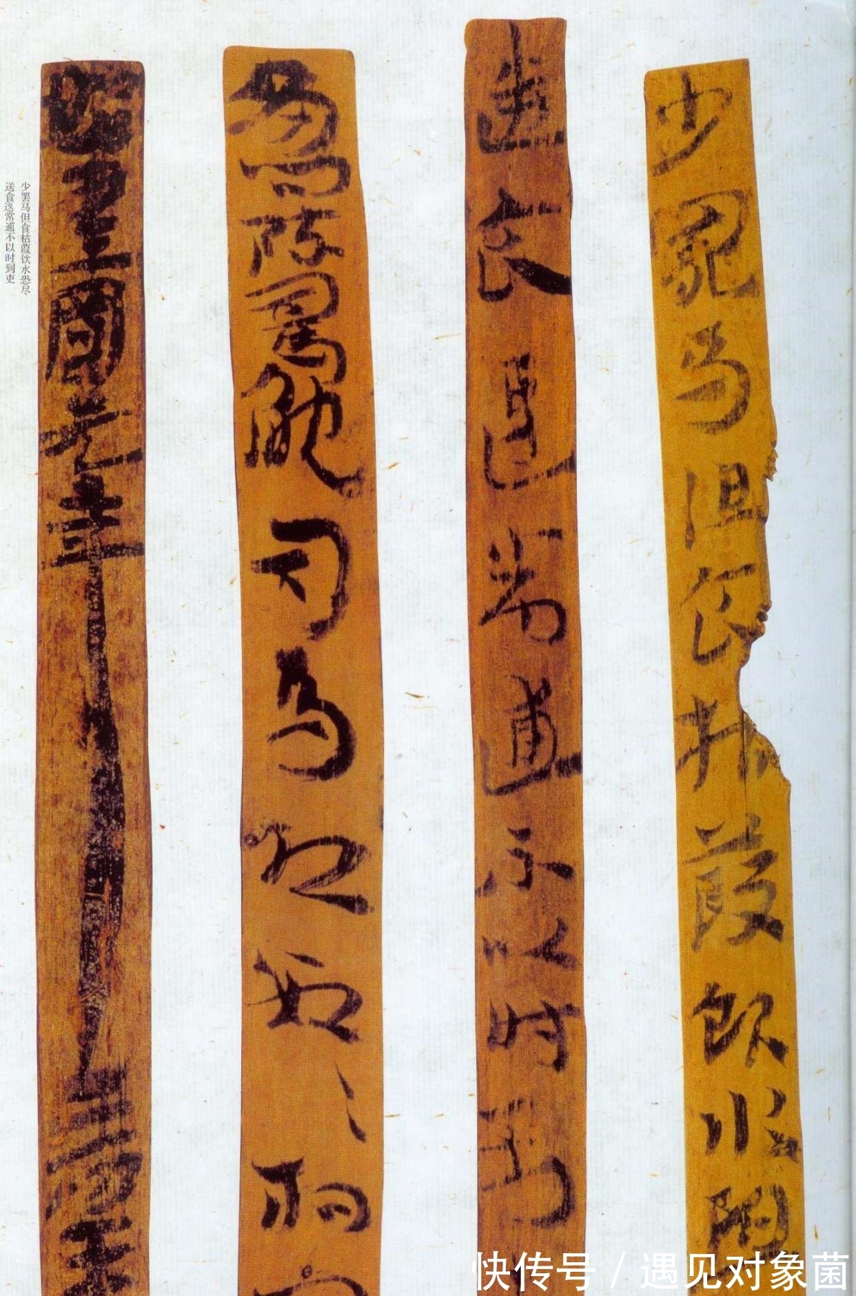 碑刻|启功论书诗21:点评汉代隶书各家碑刻,学隶书首推礼器碑、史晨碑