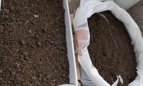 冬末春初，在家自制营养土该怎么操作？收集哪些材料？