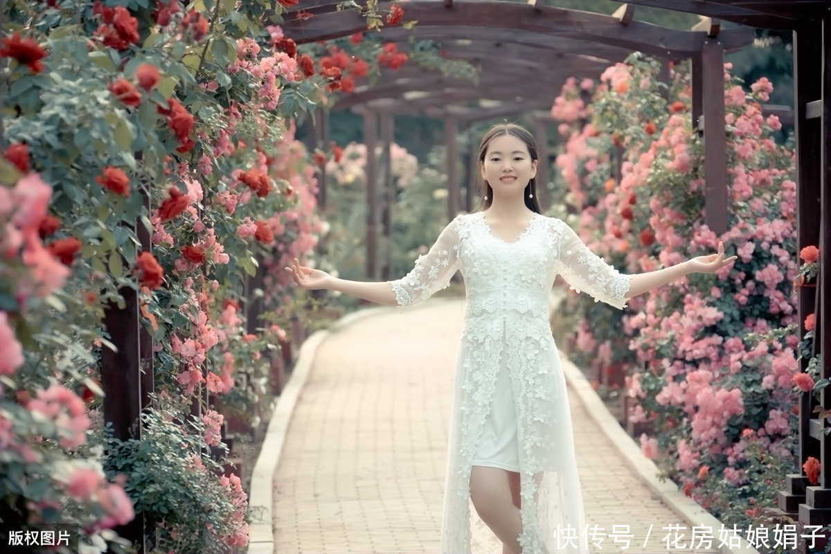 枝条|适合6月里扦插的6种花,插到纸杯里就生根,1根枝条就能成活