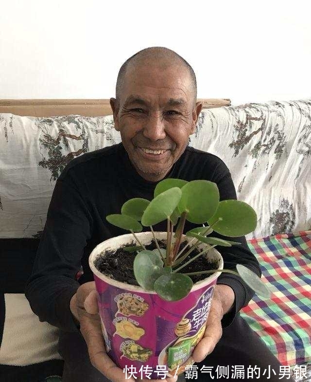 卖出|老人在方便面盒子里种花草, 每年能卖出一两百盆!