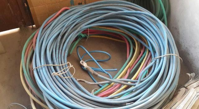 花卉植物|往花盆里丢“电线”,啥花都喜欢,难怪花和叶子“呼呼长”