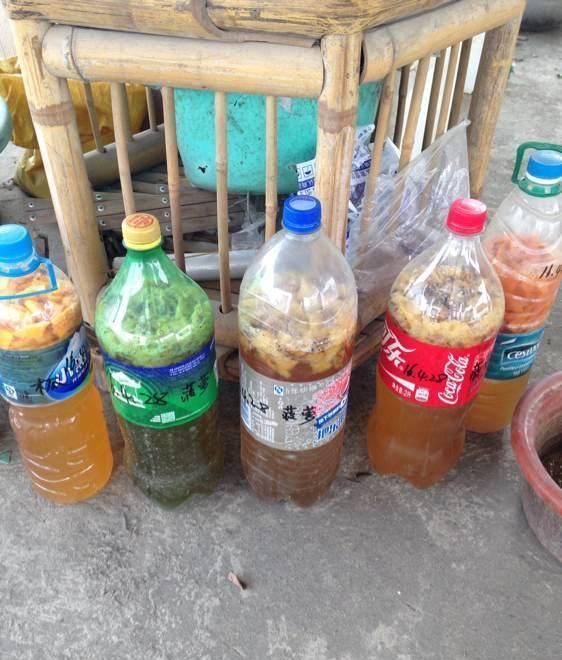 橘子皮晒一晒，养花用的上，有3大好处，解决一切养花难题