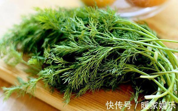 胃病|这种植物乡下人嫌弃味道大不吃，却不知道它是胃病克星，浑身是宝