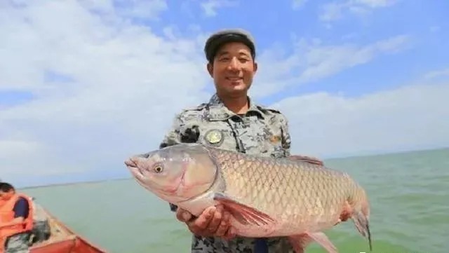 蚯蚓钓鱼不能乱用,教你正确的方法,让你轻松获鱼,实用