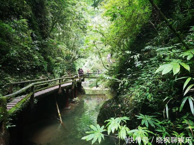 茶山竹海归园田居，当代人最大梦想，这个村子能帮你轻易实现！