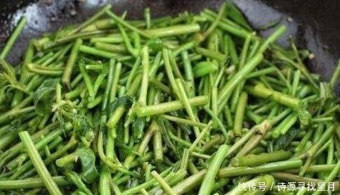 刺五加|这种野菜上面覆盖着宝,可惜很多人把他当草用