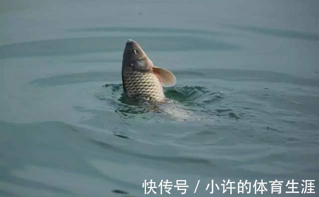 鱼口太轻，打不中实口，用这三招，马上轻口变顿口