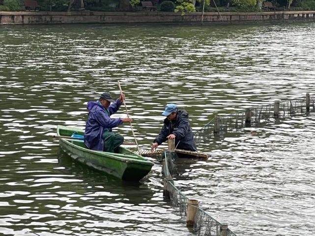 西湖里多了五座迷你桥！一般人走不了……