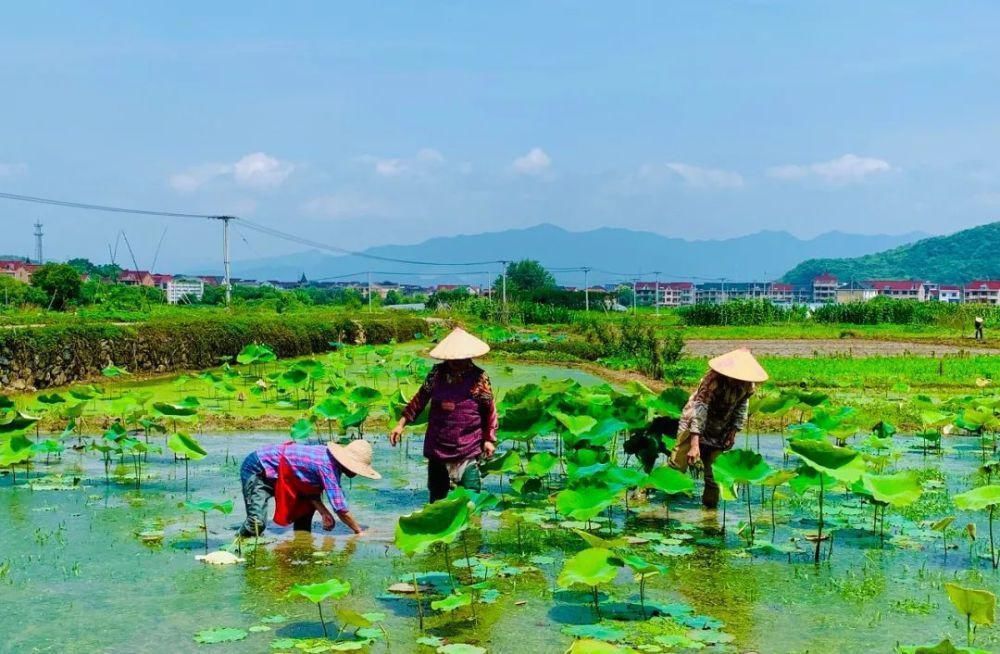 全球最佳旅行地出炉！它是中国唯一上榜的城市，比苏杭还安逸，美到窒息！