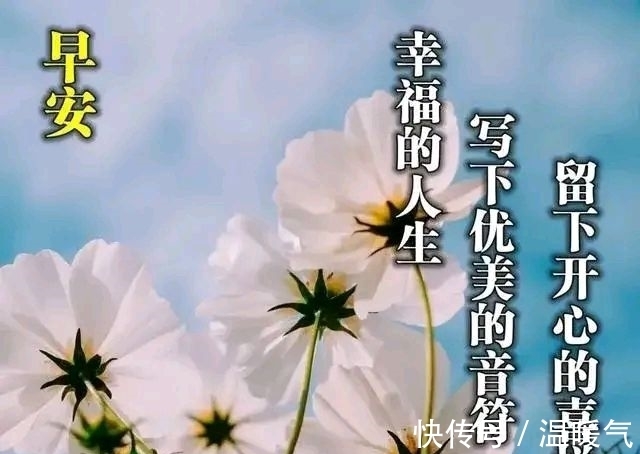 安好|早晨安好：人无完人，事无完美，有些小人，你不须计较，早晨好