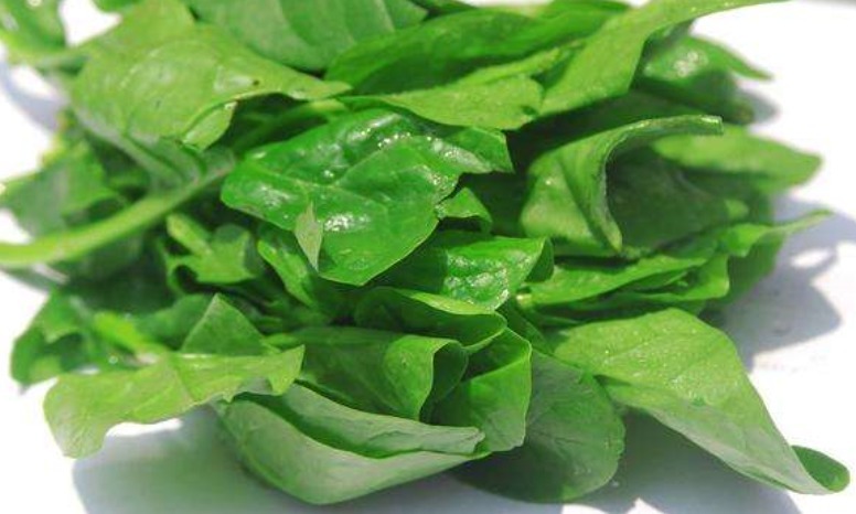 蚕菜|女性怕老多吃4种菜,补充人体所需营养,美白养颜抗衰老