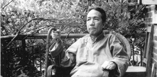 “华佗是印度人”,印度专家再次发声,清华教授认同并提出观点