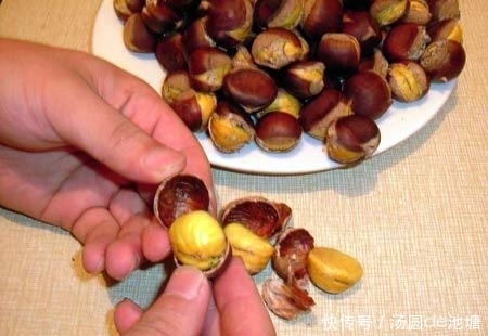 板栗|板栗壳不要扔了,用水煮一煮,能解决很多人的问题,早知早好