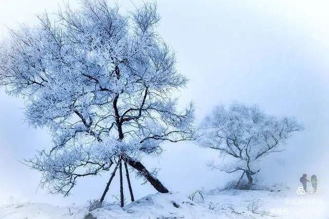 童话|冰天雪地，童话吉林